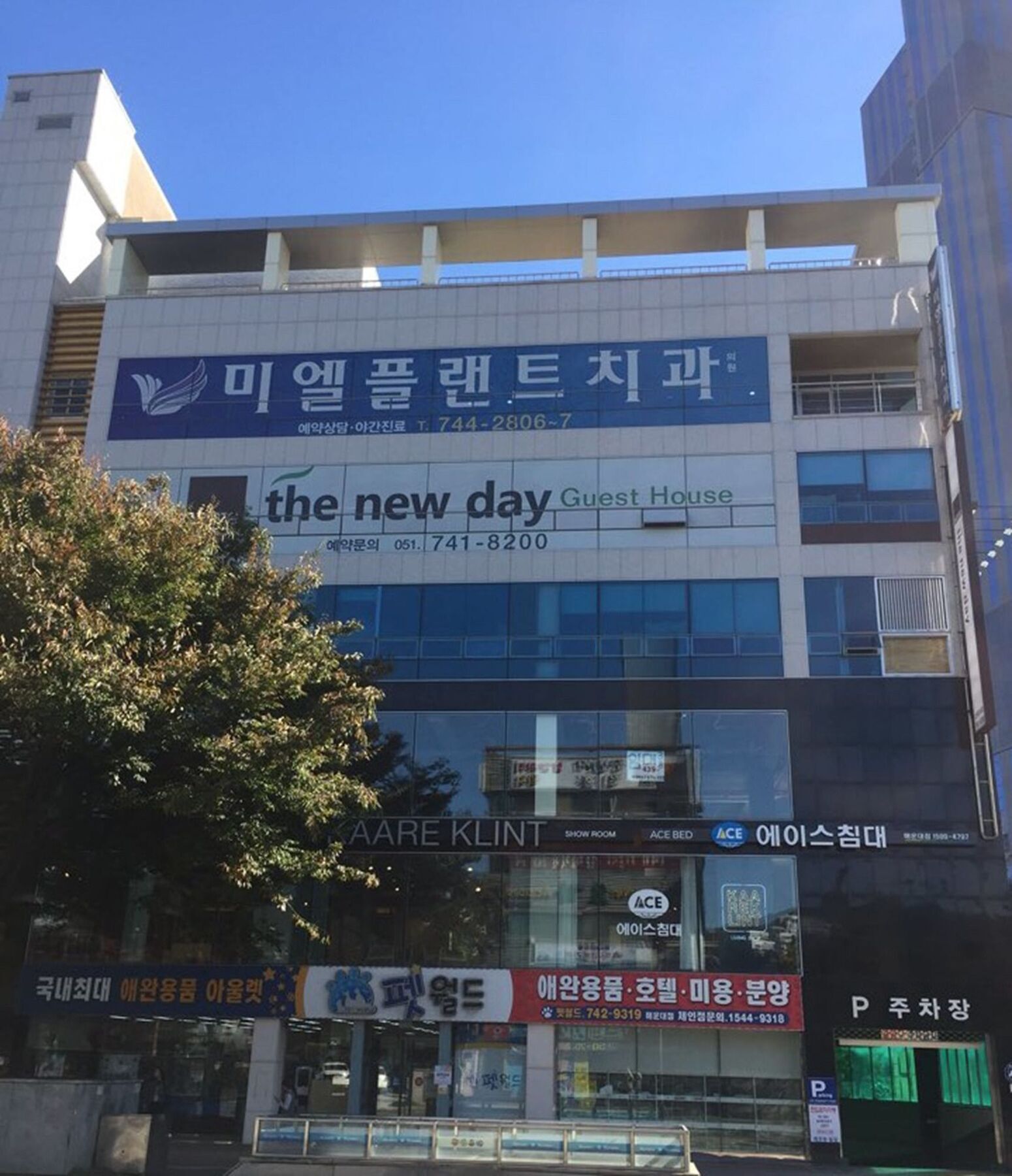 בוסאן Hostel The New Day מראה חיצוני תמונה